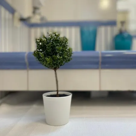 Alojamento de Acomodação e Pequeno-almoço Residenza Chiaia Nápoles